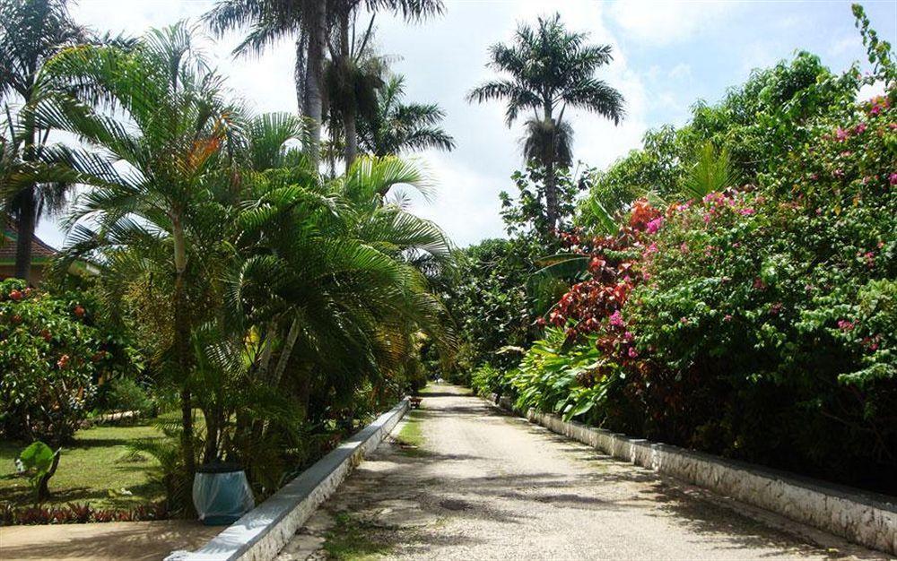 Pure Garden Resort Negril Extérieur photo
